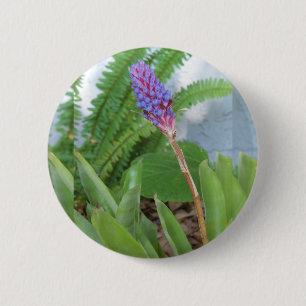 Badge Rond 5 Cm Bleu cône fleur bromélique