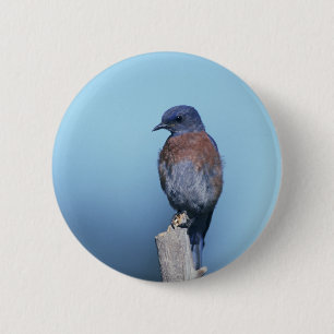 Badge Rond 5 Cm Bleu de l'Ouest
