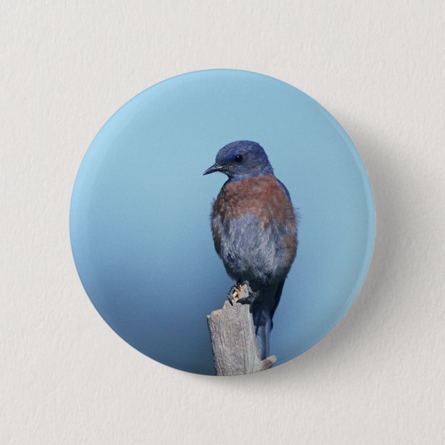 Badge Rond 5 Cm Bleu de l'Ouest (Devant)
