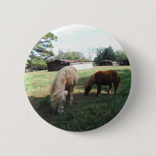 Badge Rond 5 Cm Blond Brown, deux chevaux miniatures, "petit poney