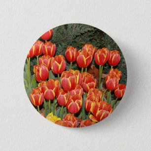 Badge Rond 5 Cm Bloomin' Tulips !