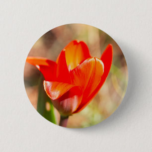 Badge Rond 5 Cm Blossom de la tulipe rouge
