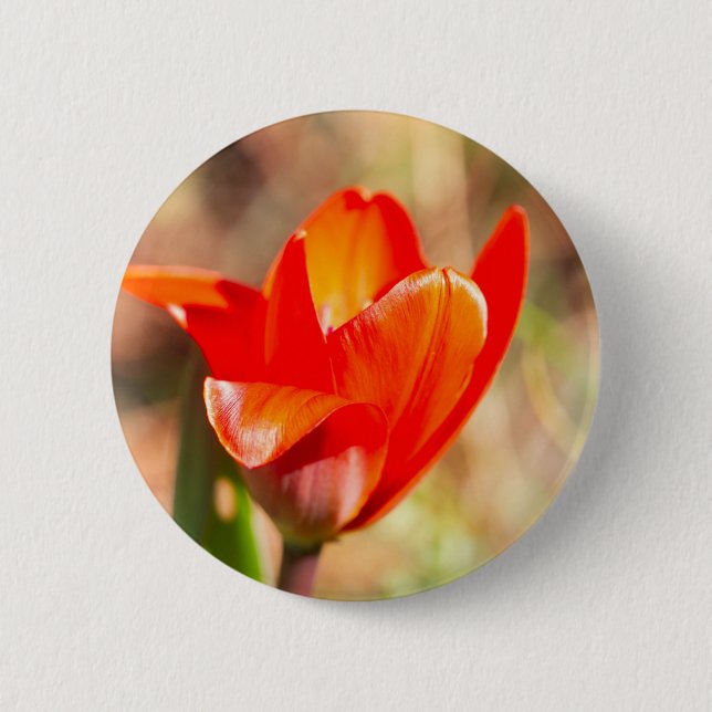 Badge Rond 5 Cm Blossom de la tulipe rouge (Devant)