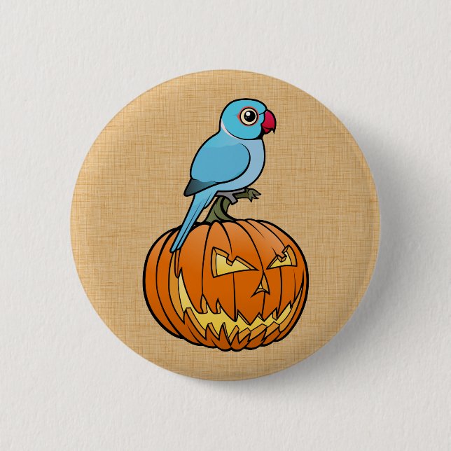 Badge Rond 5 Cm Blue Indian Ringneck on Pumpkin Halloween (Devant)
