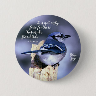 Badge Rond 5 Cm Blue Jay sur la post Faune Photo Nature