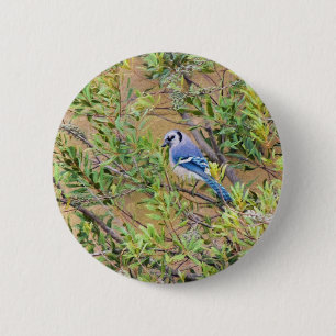 Badge Rond 5 Cm Blue Jay sur Southern Wax Myrtle