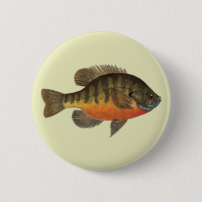 Badge Rond 5 Cm Bluegill Bream (Devant)