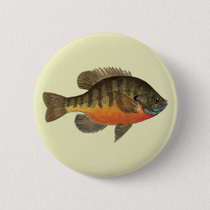 Badge Rond 5 Cm Bluegill Bream