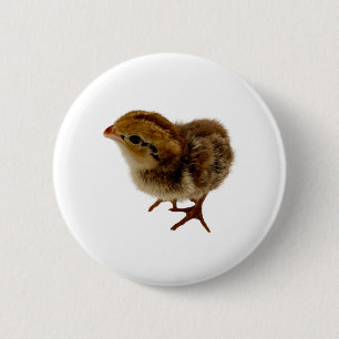 Badge Rond 5 Cm Bobwhite Quik