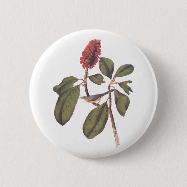 Badge Rond 5 Cm Bonaparte Moucherolle Canada Paruline Audubon Oise (Devant)