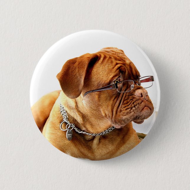 Badge Rond 5 Cm Bordeaux Mastiff, poison de French Mastiff Bordeau (Devant)