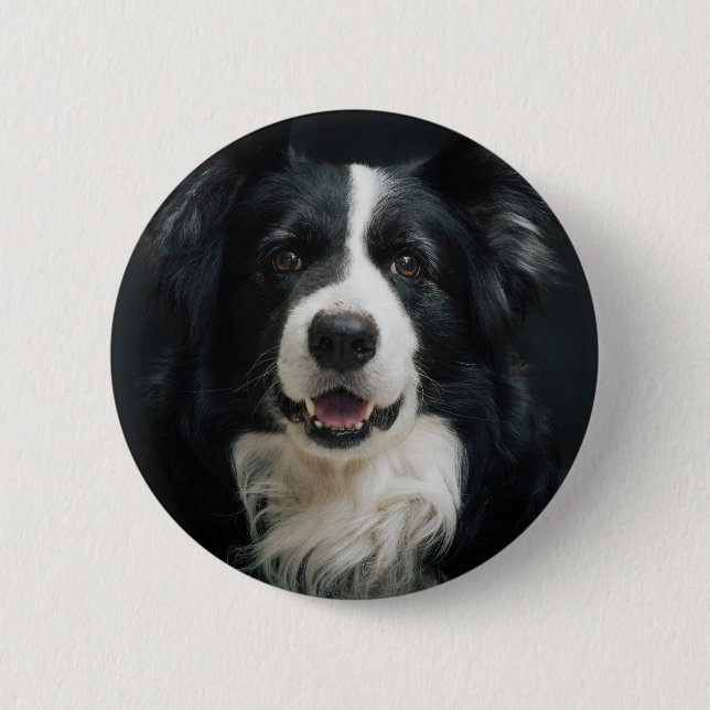 Badge Rond 5 Cm border collie (Devant)