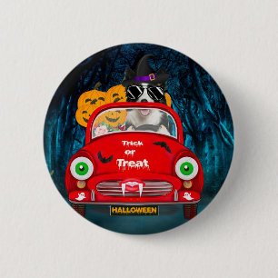 Badge Rond 5 Cm Border Collie Chien Conduisant une Voiture Effraya