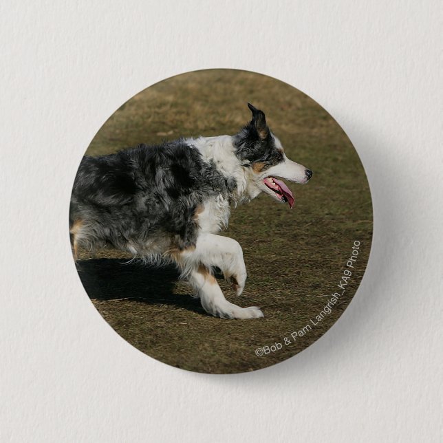 Badge Rond 5 Cm Border collie courant 1 (Devant)
