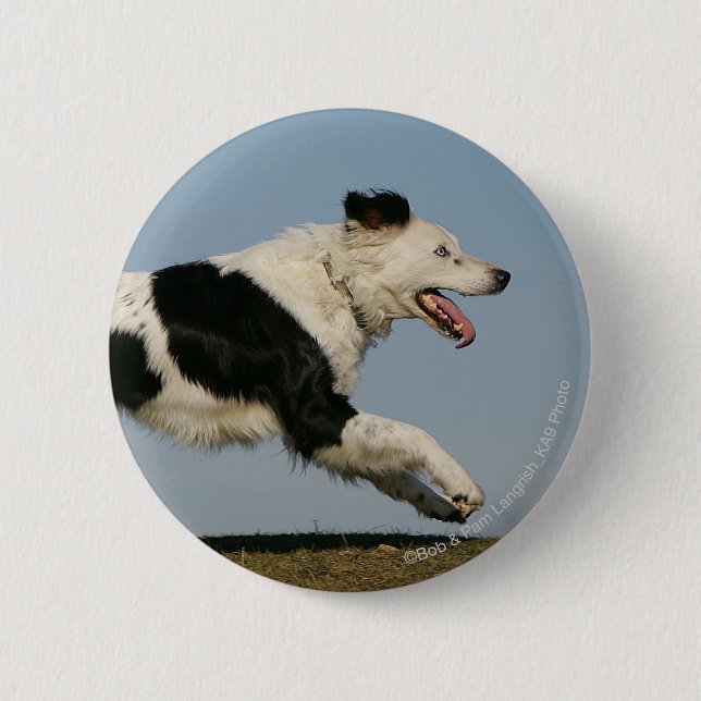Badge Rond 5 Cm Border collie courant 2 (Devant)