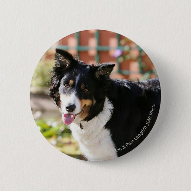 Badge Rond 5 Cm Border collie haletant 1 (Devant)