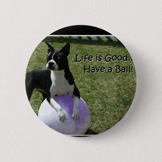 Badge Rond 5 Cm Boston Terrier :  Ayez une boule ! (Devant)