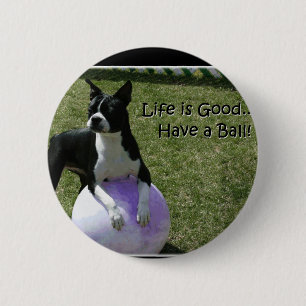 Badge Rond 5 Cm Boston Terrier :  Ayez une boule !