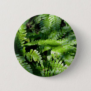Badge Rond 5 Cm Botanique de fèves vertes de printemps