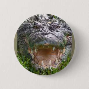 Badge Rond 5 Cm Bouche de crocodile d'eau salée sauvage ouverte