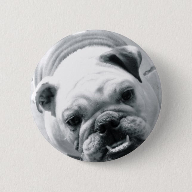 Badge Rond 5 Cm Bouledogue anglais (Devant)