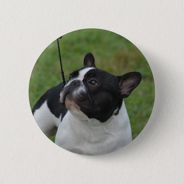 Badge Rond 5 Cm Bouledogue français noir et blanc (Devant)