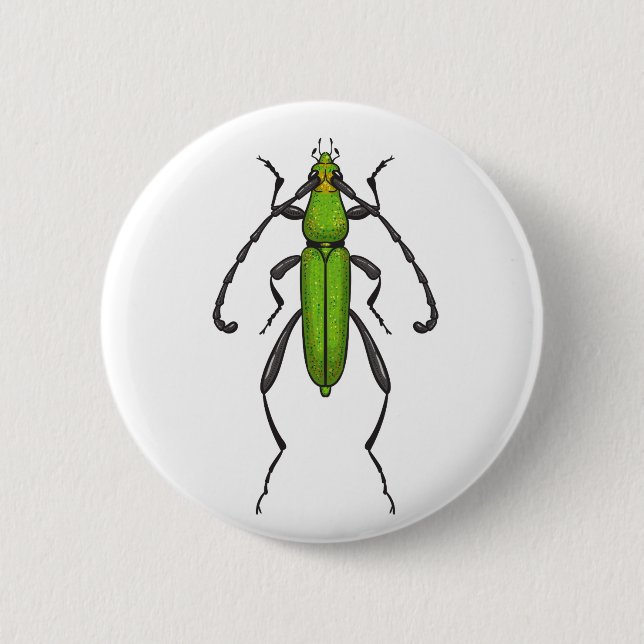 Badge Rond 5 Cm Bousier vert (Devant)