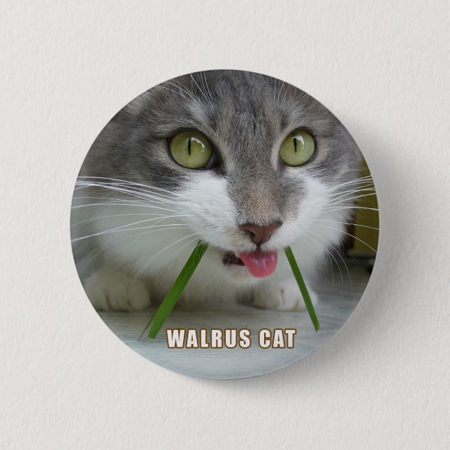 Badge Rond 5 Cm Bouton 009 de Rema (Devant)