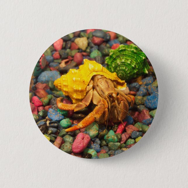 Badge Rond 5 Cm Bouton 01 de bernard l'ermite (Devant)