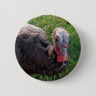 Badge Rond 5 Cm Bouton 1 d'acres de Wedrose