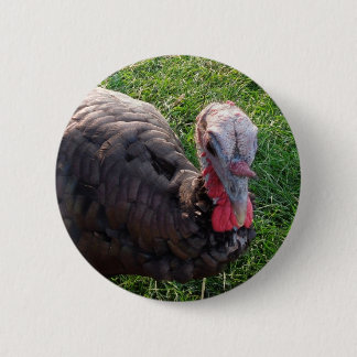 Badge Rond 5 Cm Bouton 1 d'acres de Wedrose