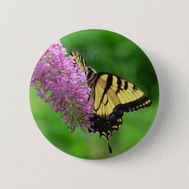 Badge Rond 5 Cm Bouton 3 de papillon de machaon (Devant)