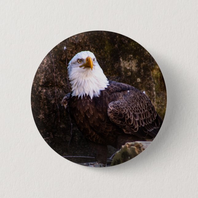 Badge Rond 5 Cm Bouton Aigle (Devant)