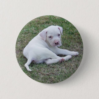 Badge Rond 5 Cm Bouton américain de chiot de bouledogue