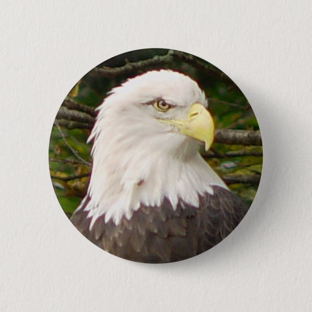 Badge Rond 5 Cm Bouton américain d'Eagle chauve (Devant)