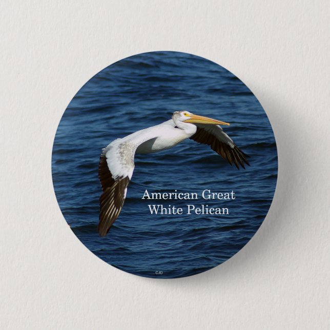 Badge Rond 5 Cm Bouton American Great White Pelican (Devant)