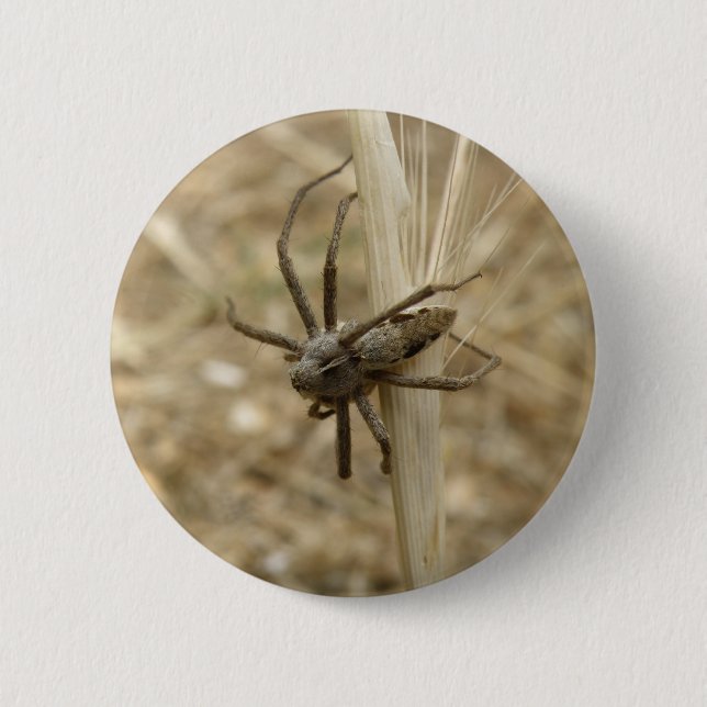 Badge Rond 5 Cm Bouton Araignée déplaisante (Devant)
