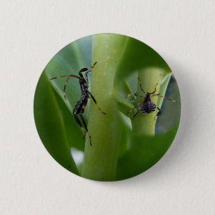 Badge Rond 5 Cm Bouton aux pieds de ~ d'insecte de feuille