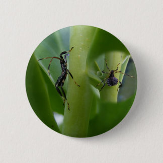 Badge Rond 5 Cm Bouton aux pieds de ~ d'insecte de feuille