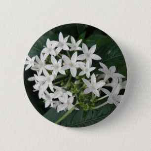 Badge Rond 5 Cm Bouton Belle Fleurs Tropicales Blancs