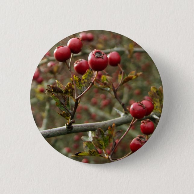 Badge Rond 5 Cm Bouton Berries (Devant)