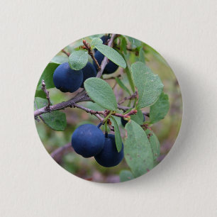 Badge Rond 5 Cm Bouton Berries sauvages