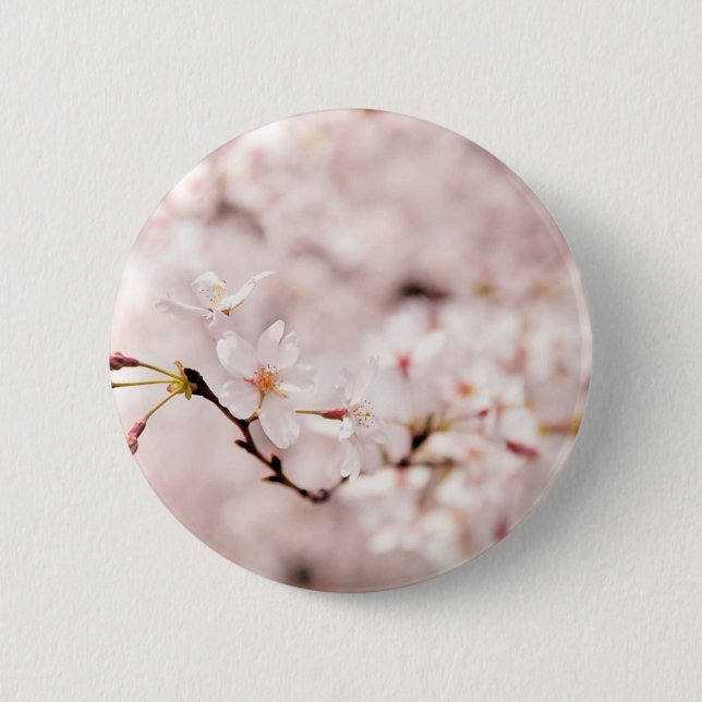 Badge Rond 5 Cm Bouton blanc de Bokeh de fleurs de cerisier (Devant)