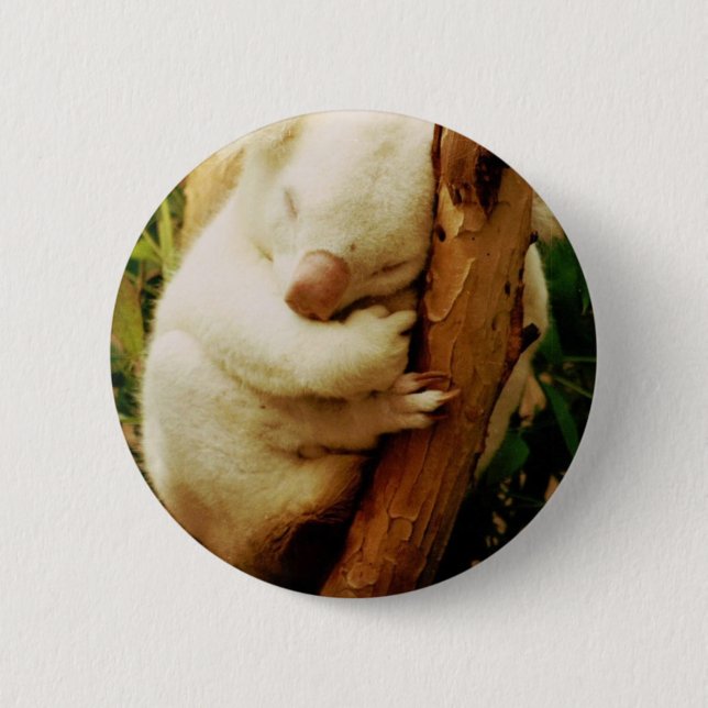 Badge Rond 5 Cm Bouton blanc d'ours de koala (Devant)