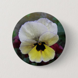 Badge Rond 5 Cm Bouton blanc et jaune Pansy