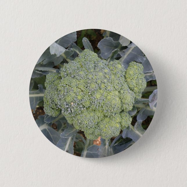 Badge Rond 5 Cm Bouton Brocoli (Devant)