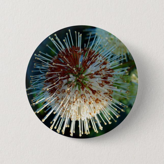 Badge Rond 5 Cm Bouton Bush (Devant)