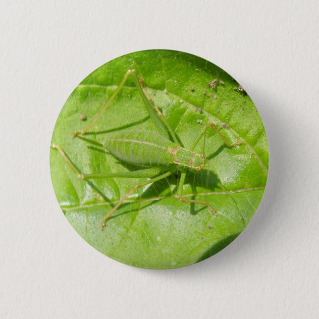 Badge Rond 5 Cm Bouton Camouflage de cricket vert (Devant)