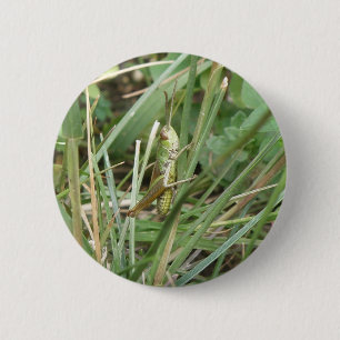 Badge Rond 5 Cm Bouton Camouflage de sauterelle
