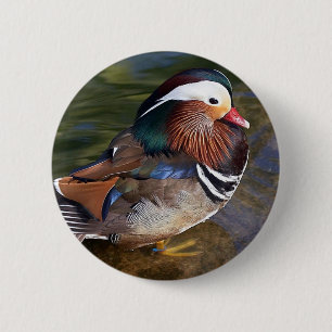 Badge Rond 5 Cm bouton canard mandarin